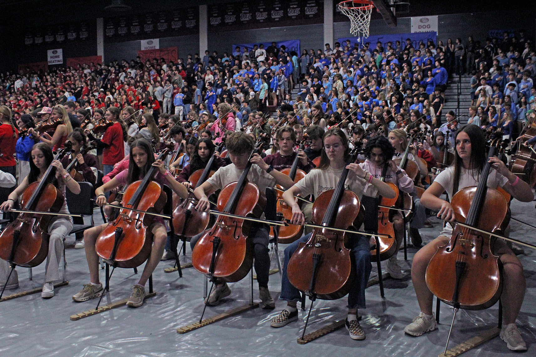 Clash of the classes: Swine Week edition