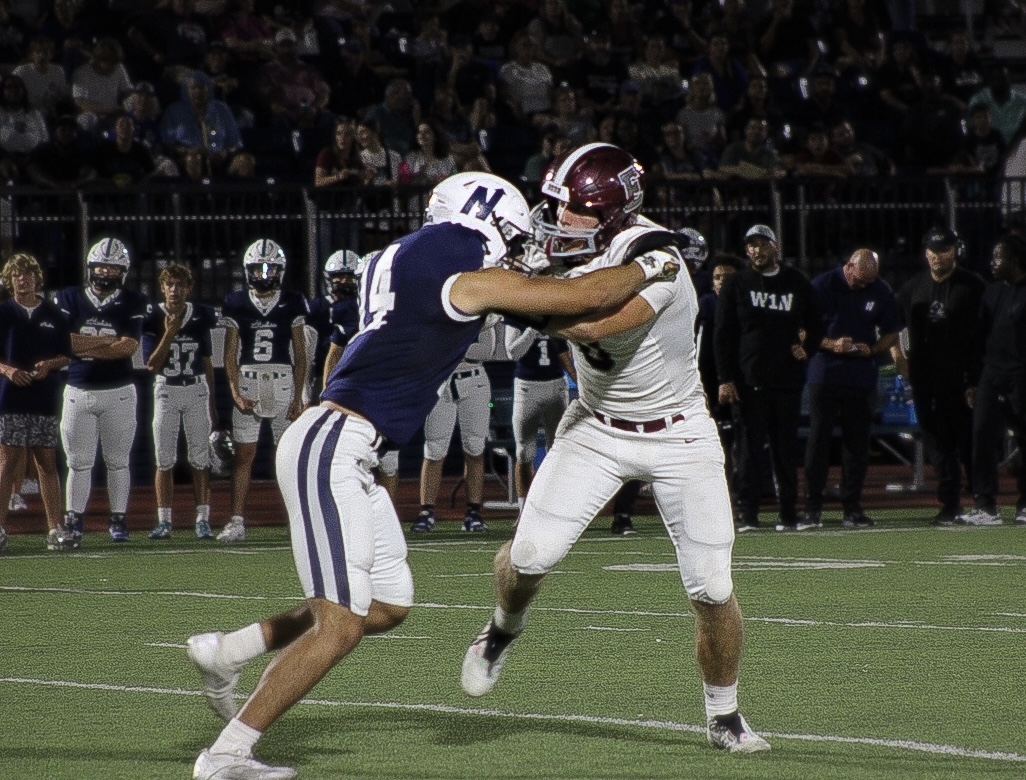 A walk through the Dog Pound: Memorial versus North