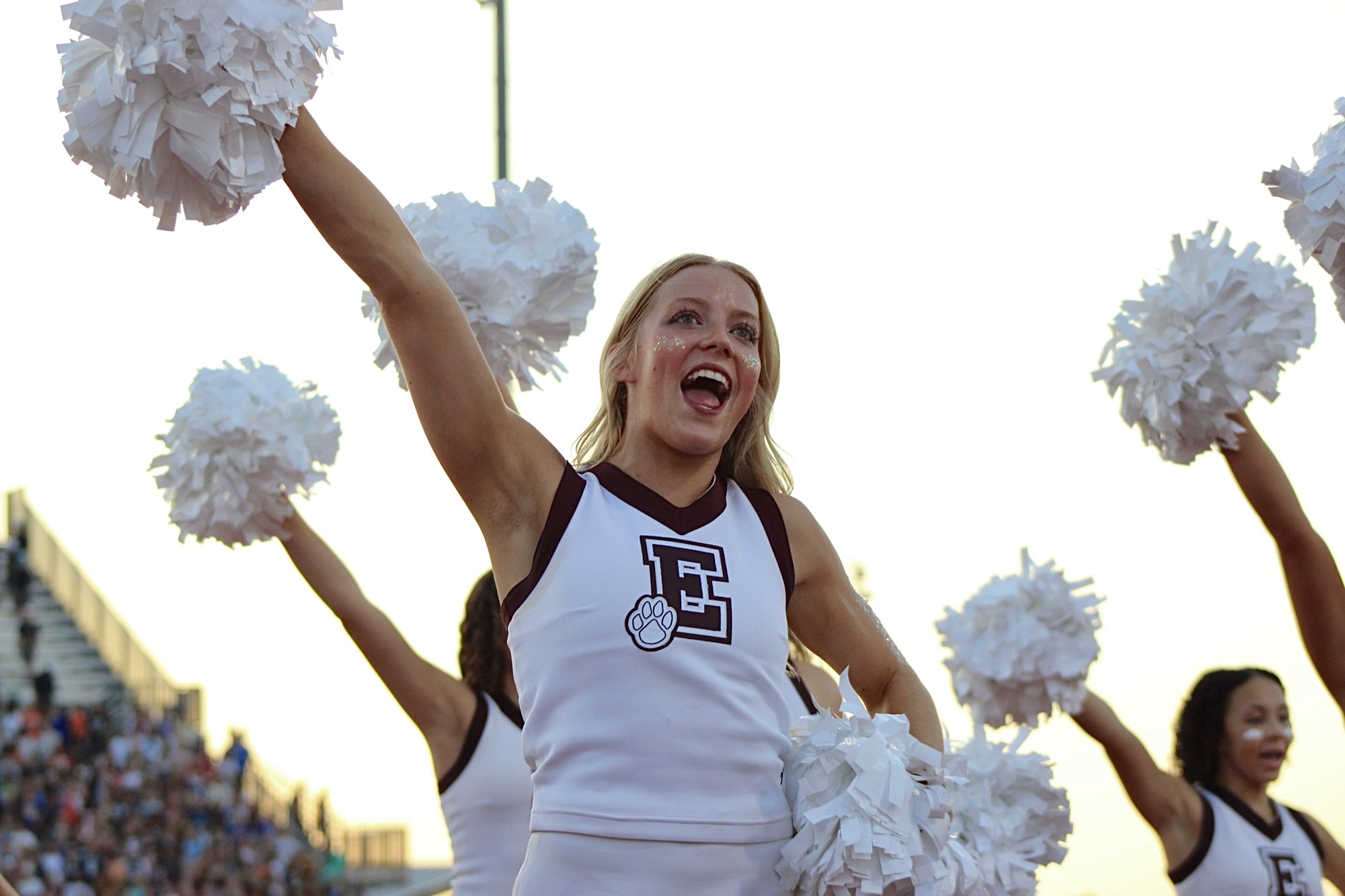 A walk through the Dog Pound: Memorial versus North
