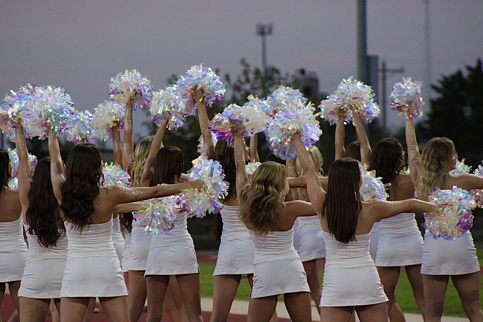 A walk through the Dog Pound: Memorial versus North