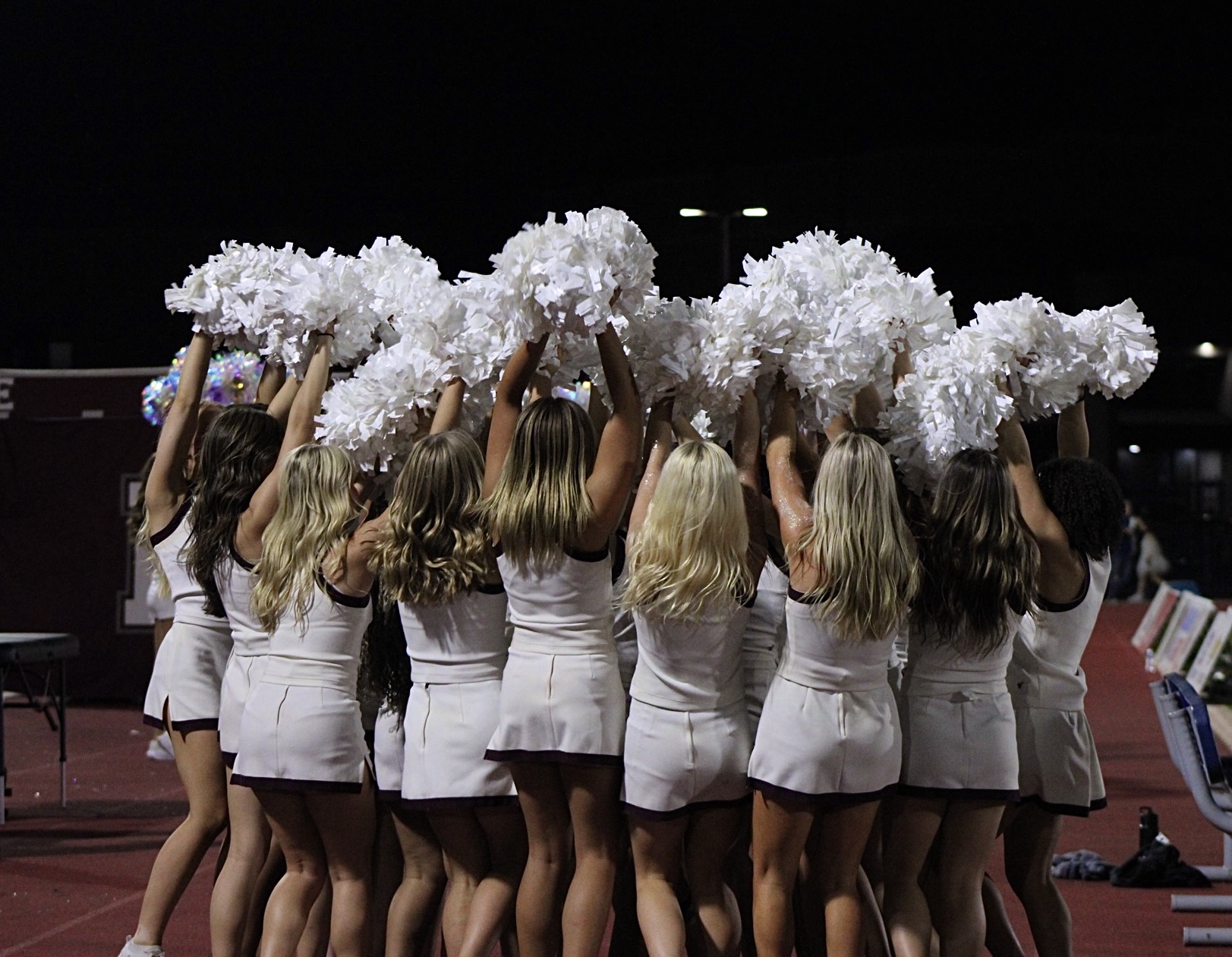 A walk through the Dog Pound: Memorial versus North
