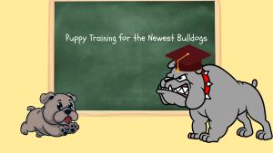 Bulldog Mentors help new freshmen learn about EMHS and help them adjust to their new lives.