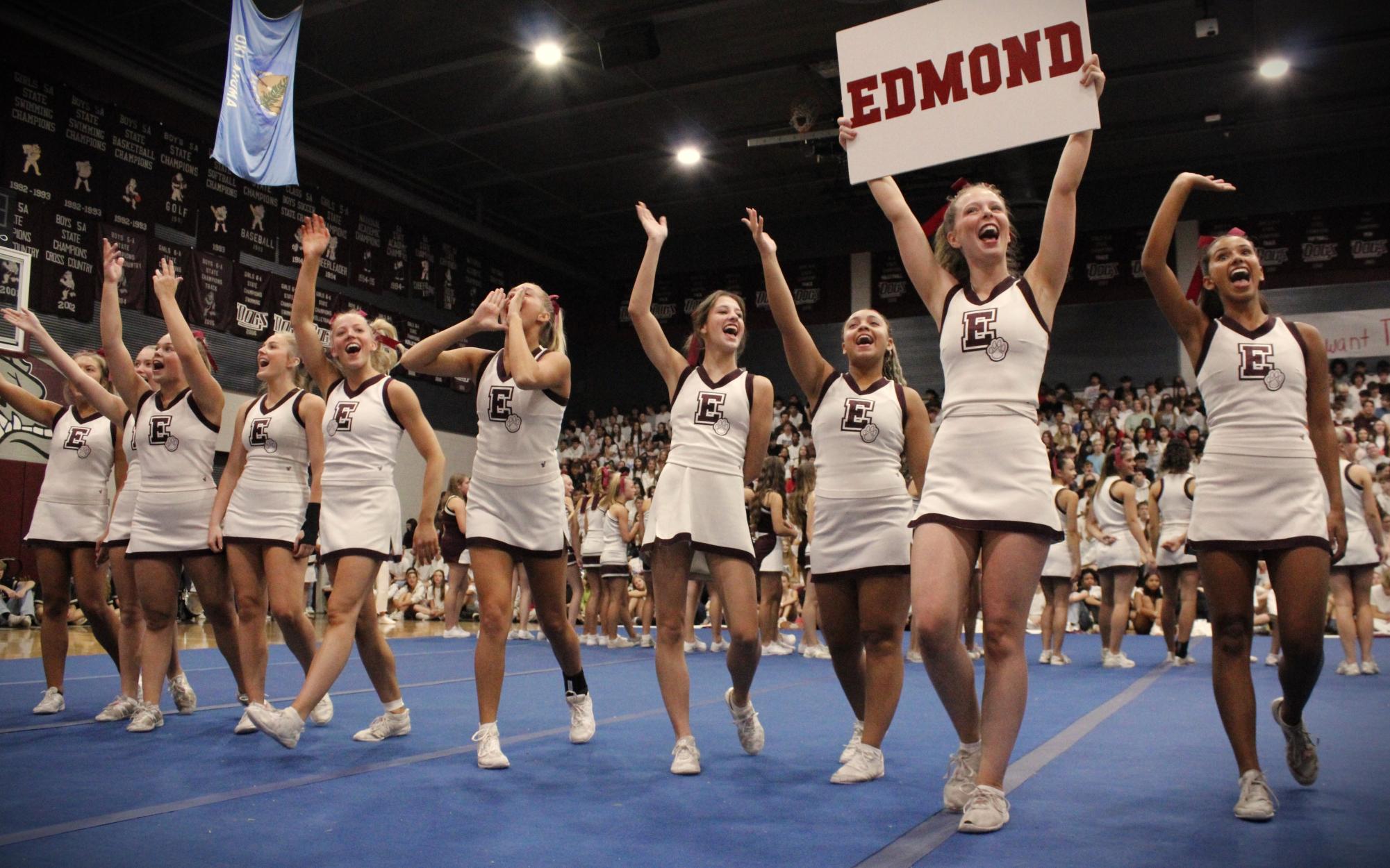 A walk through the Dog Pound: Memorial versus North