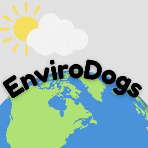 Memorial's EnviroDogs work to create an environmentally-conscious school community. 