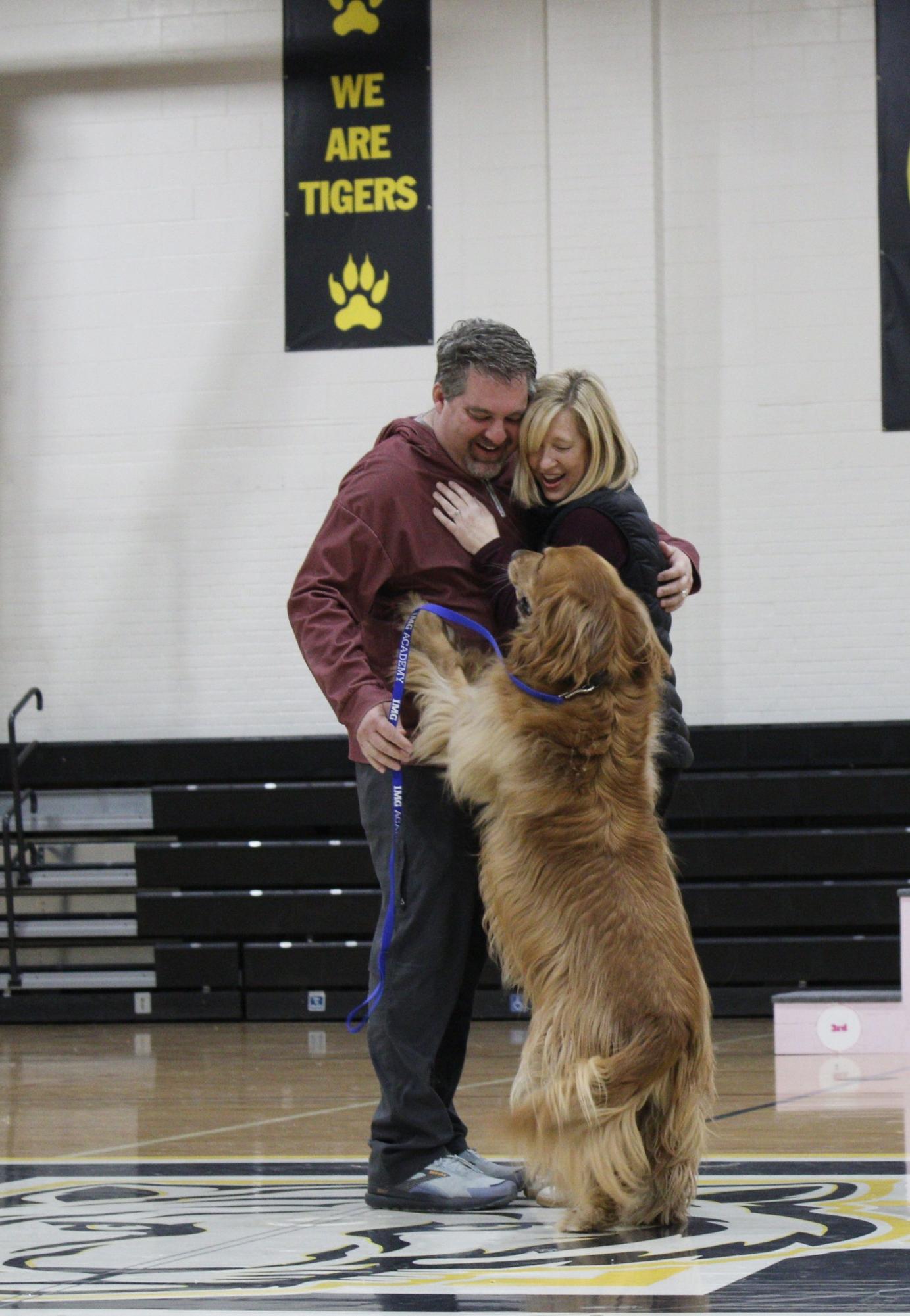 Dog show 2026