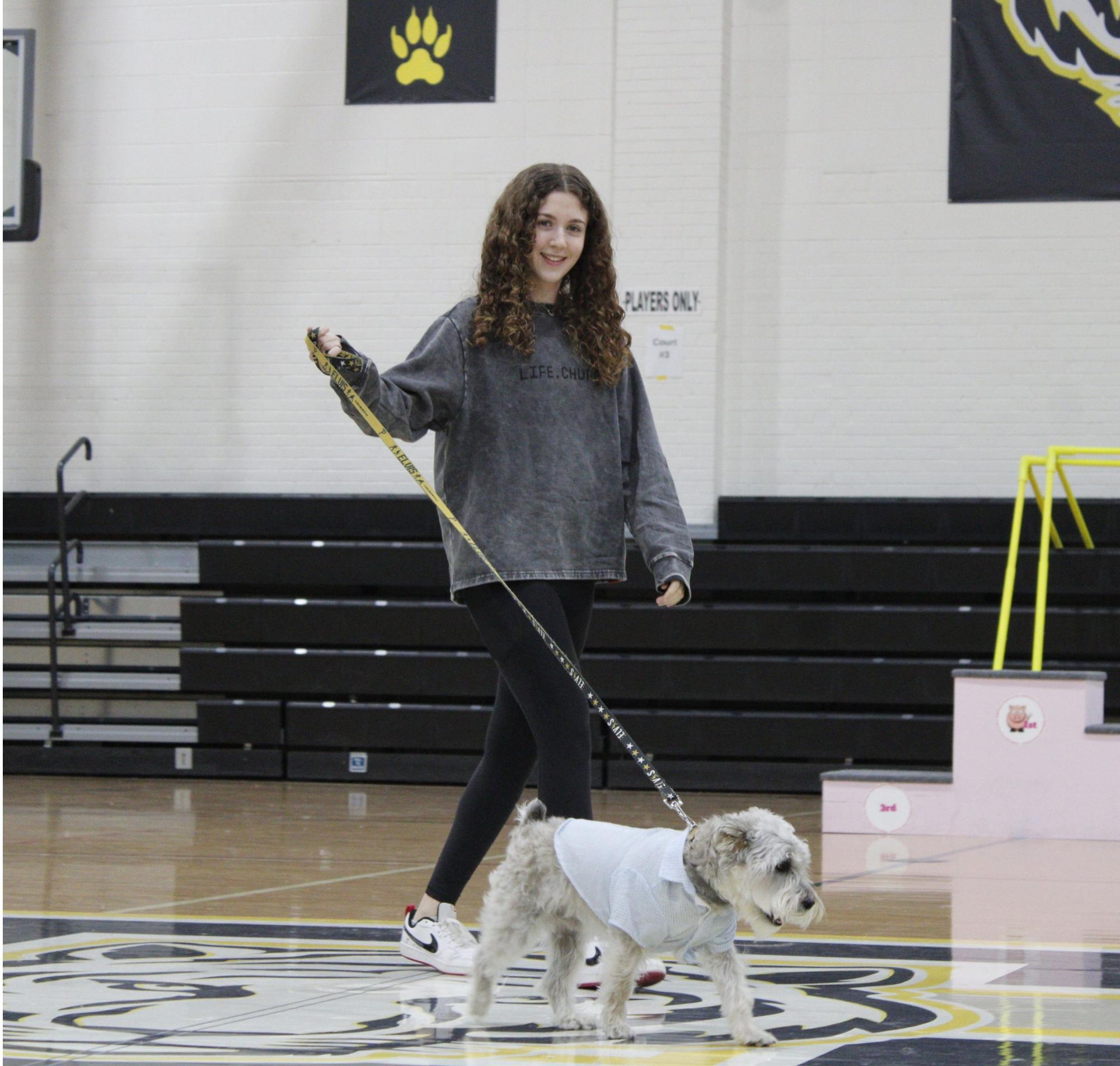 Dog show 2026