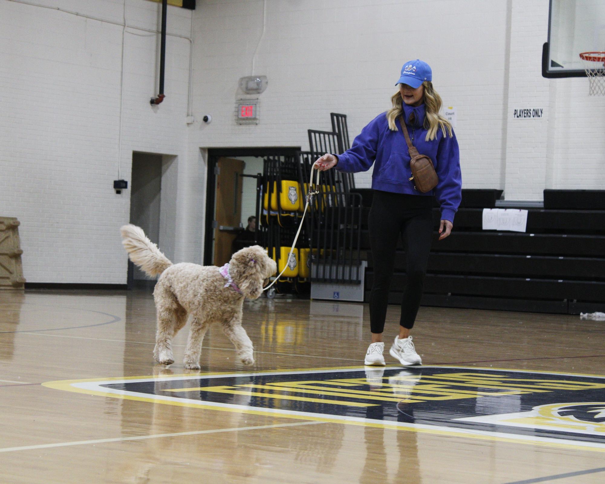 Dog show 2026