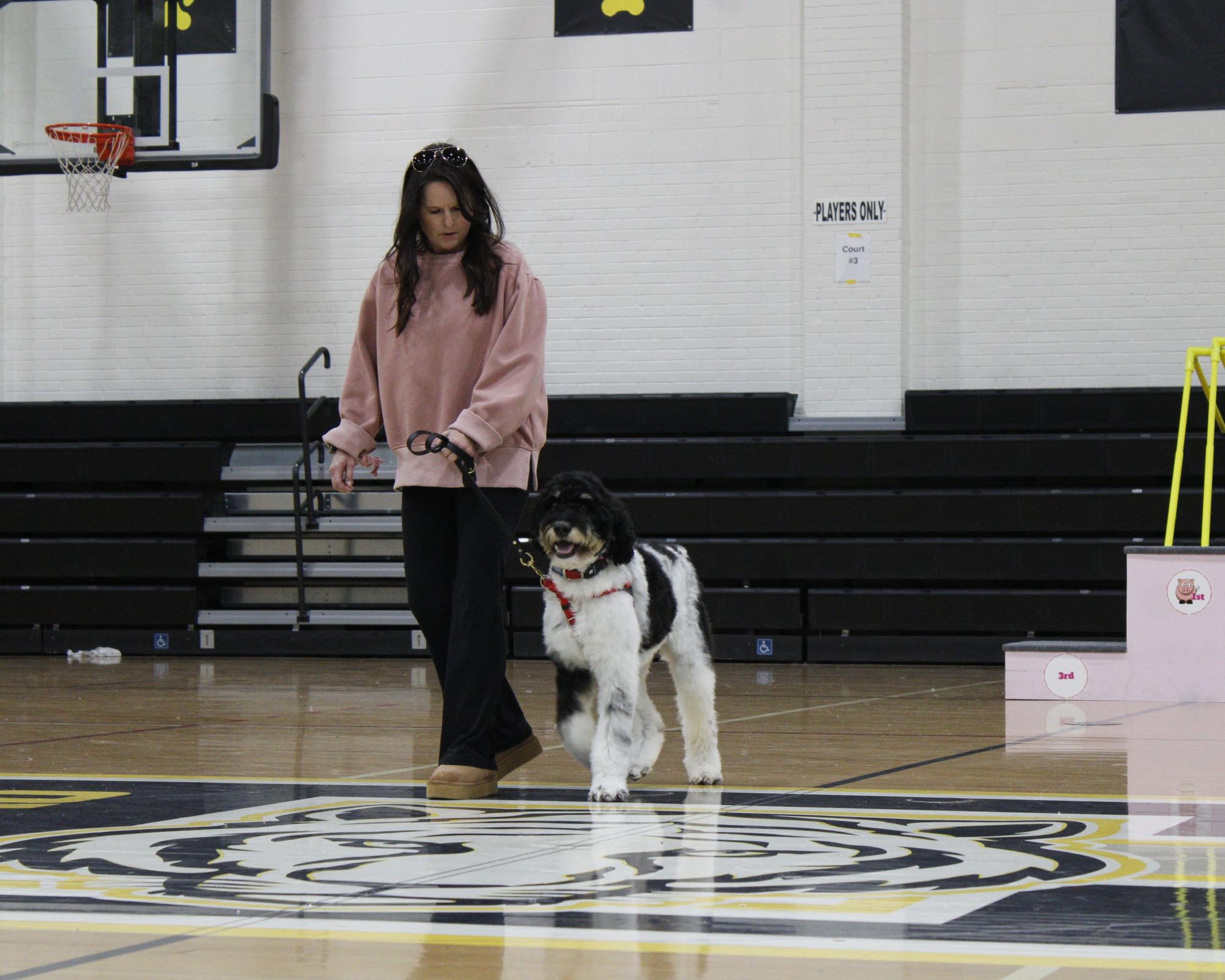 Dog show 2026