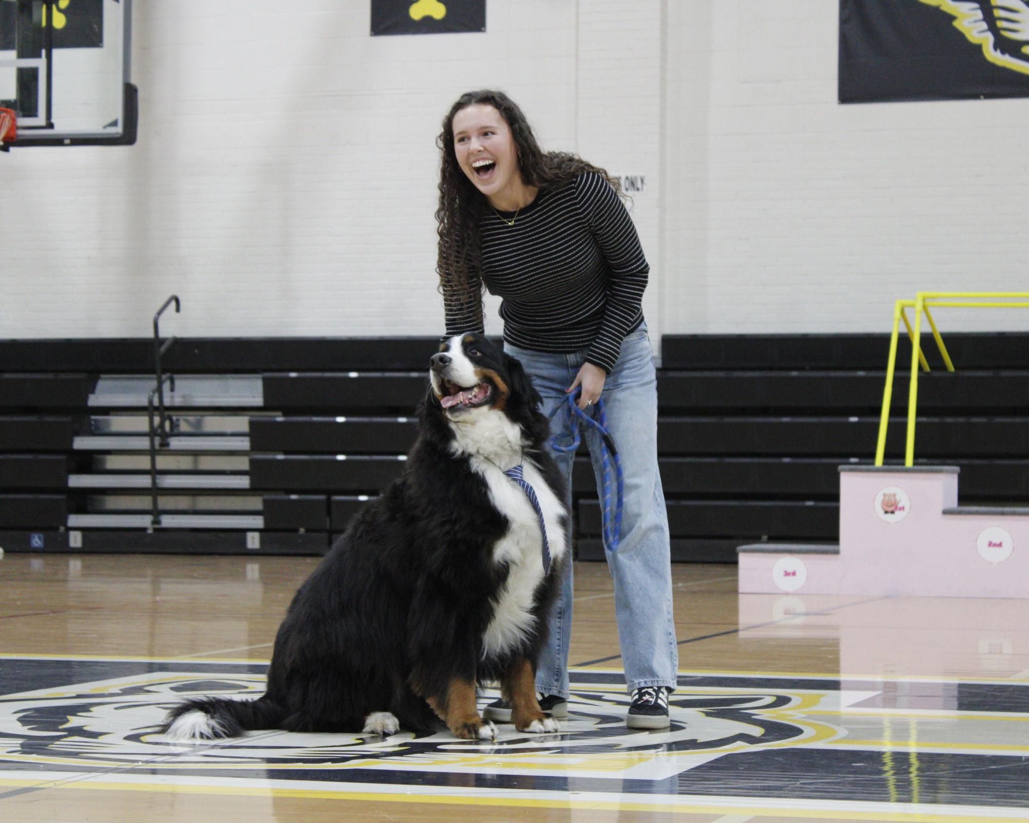 Dog show 2026