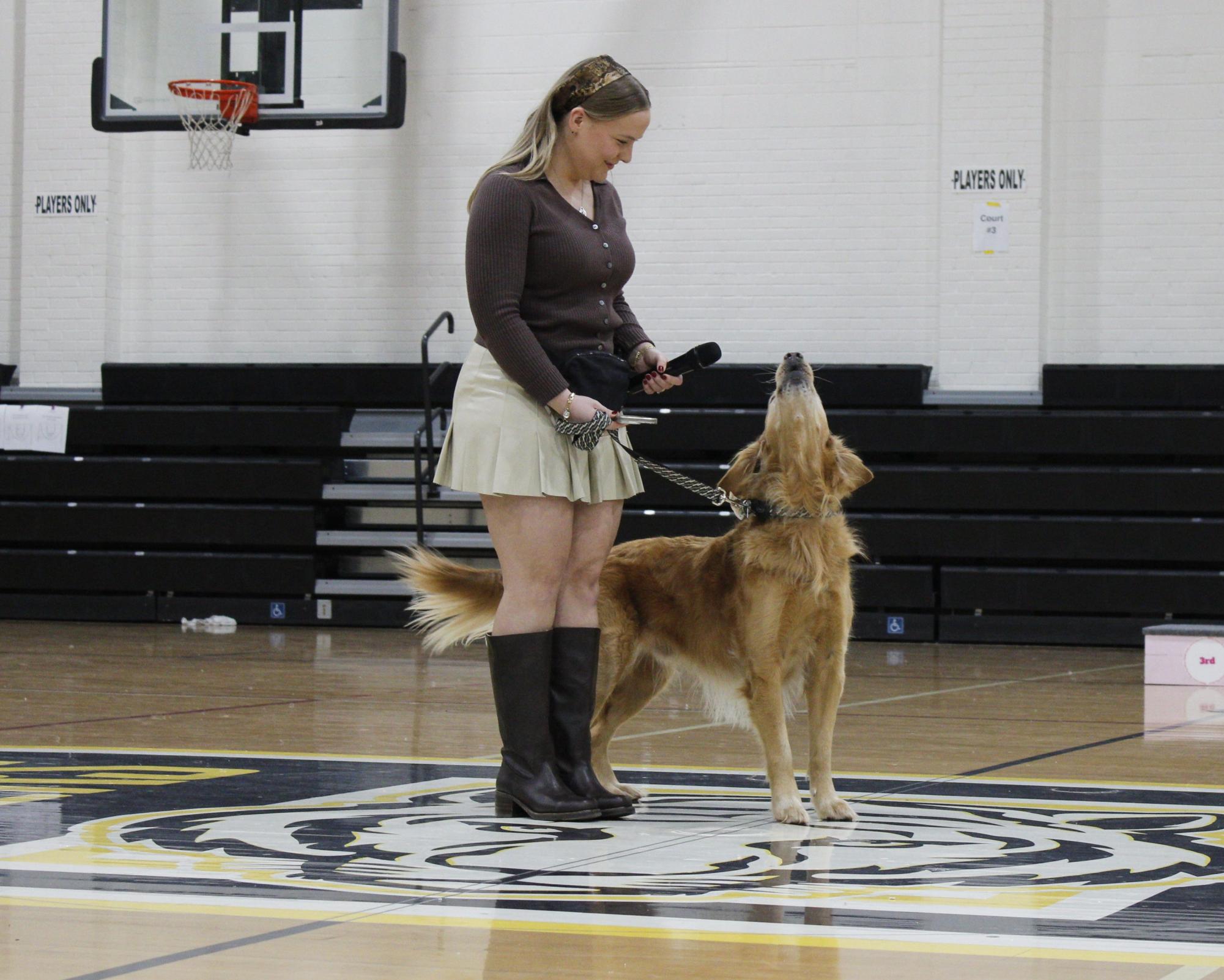 Dog show 2026