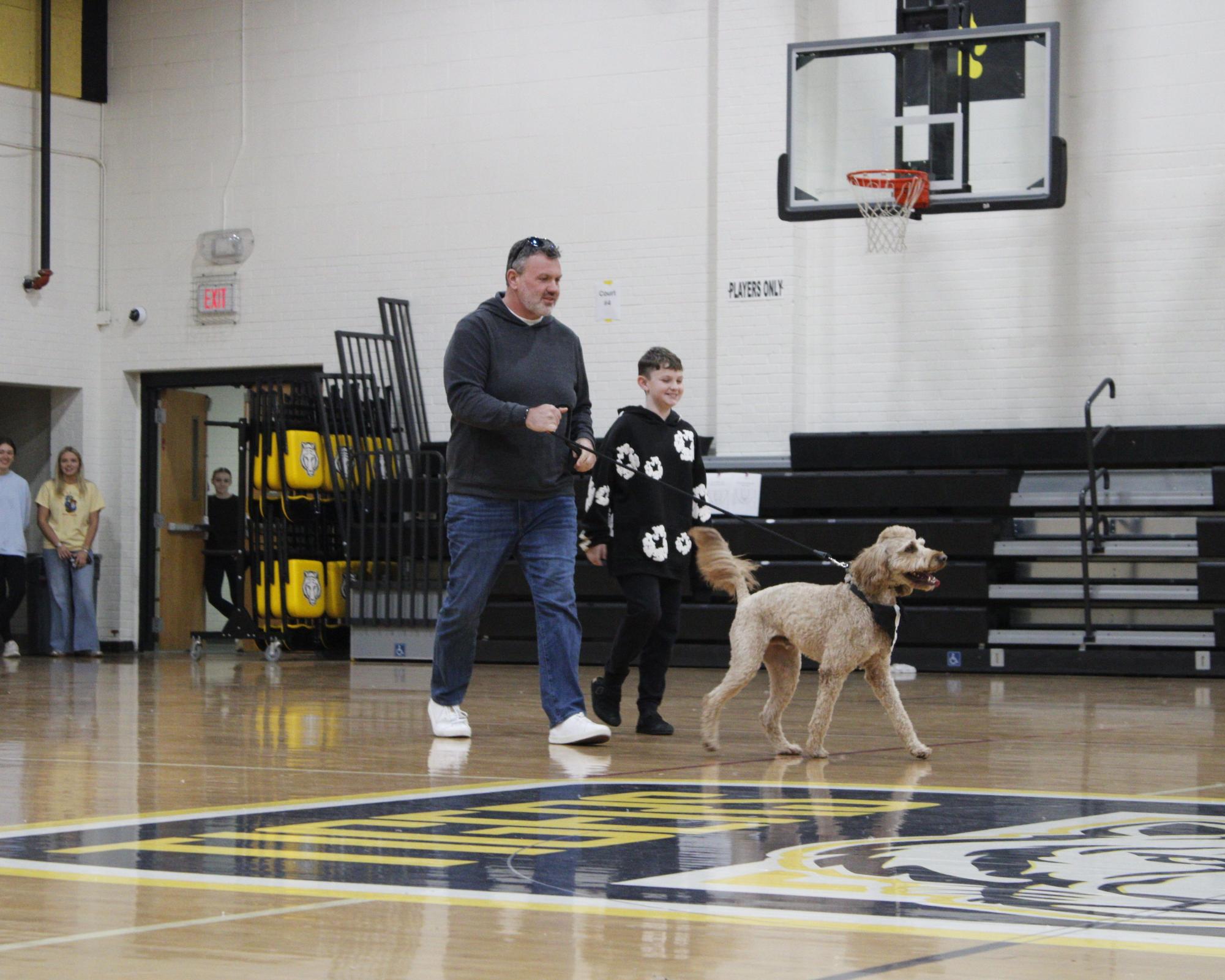 Dog show 2026