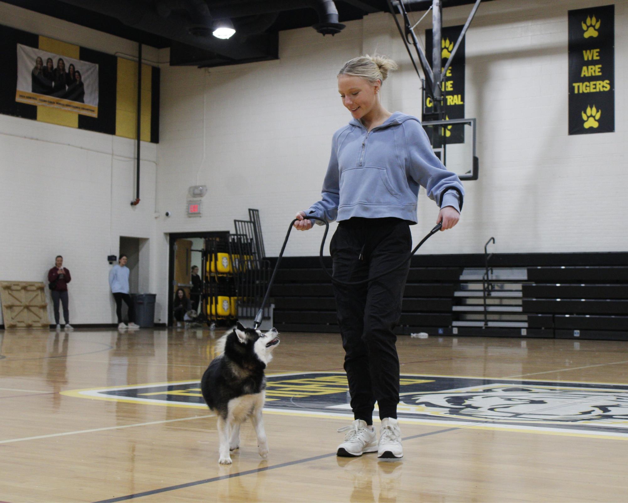 Dog show 2026