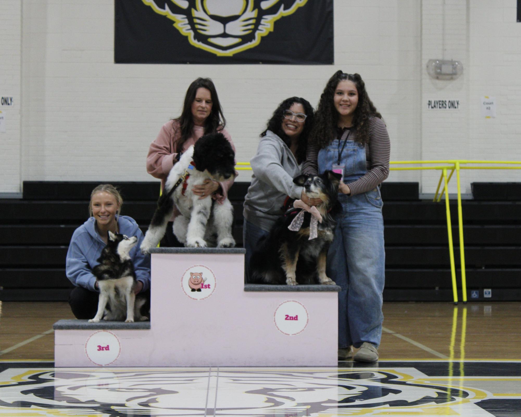 Dog show 2026