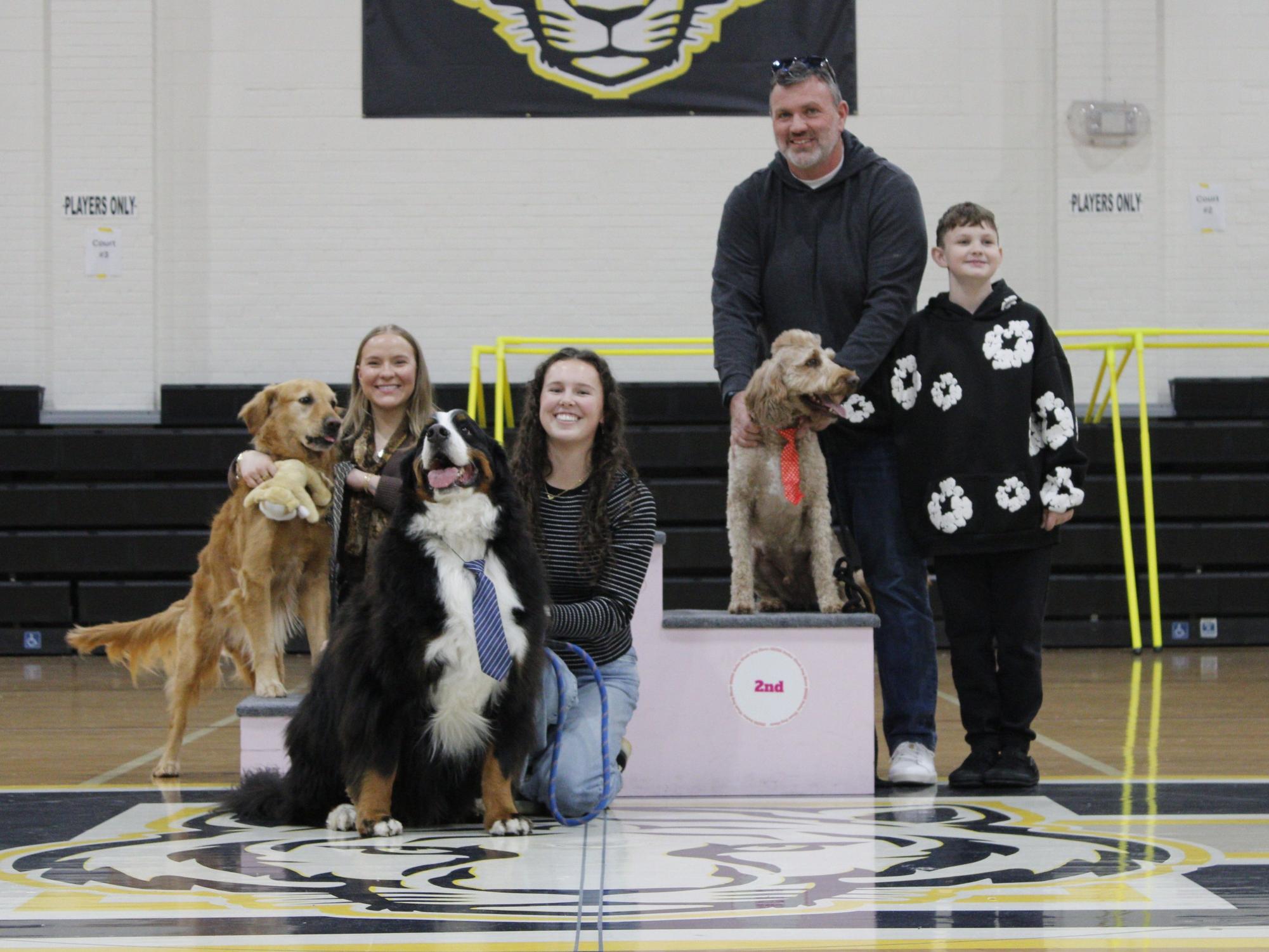 Dog show 2026
