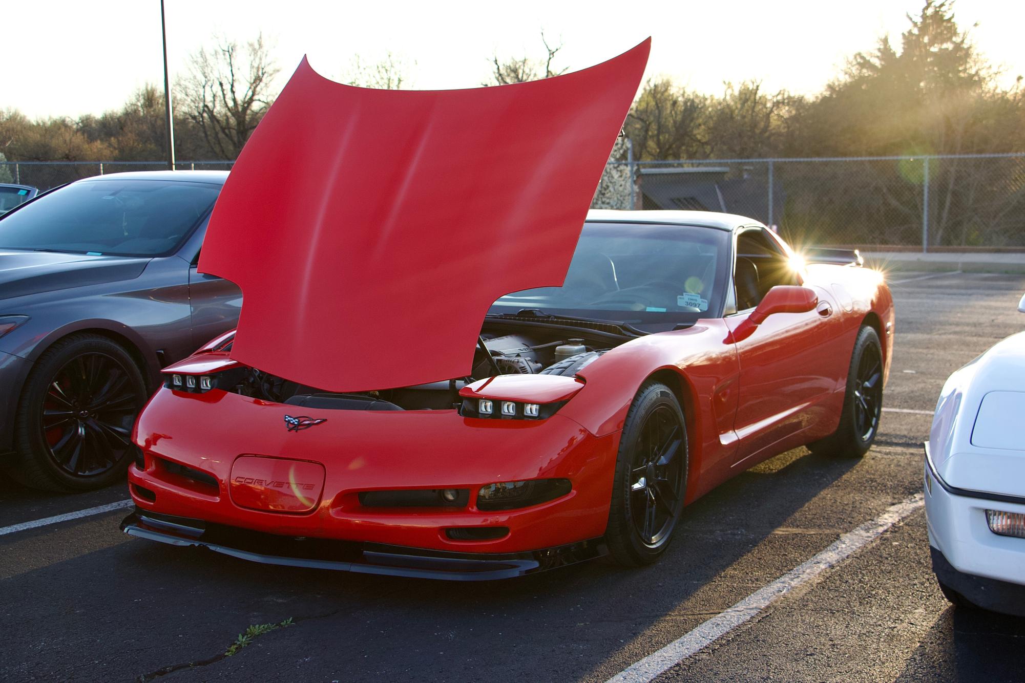 Car show for a cause